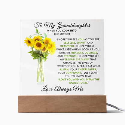 Special Unique Gift For Granddaughter | LED Acrylic Plaque